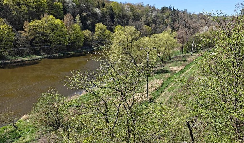 Prodej zahrady 5 059 m², Nižbor – náhled fotky 2