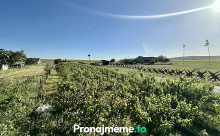 Pronájem komerčního objektu (jiného typu) 1 759 m², Šatov, okres Znojmo