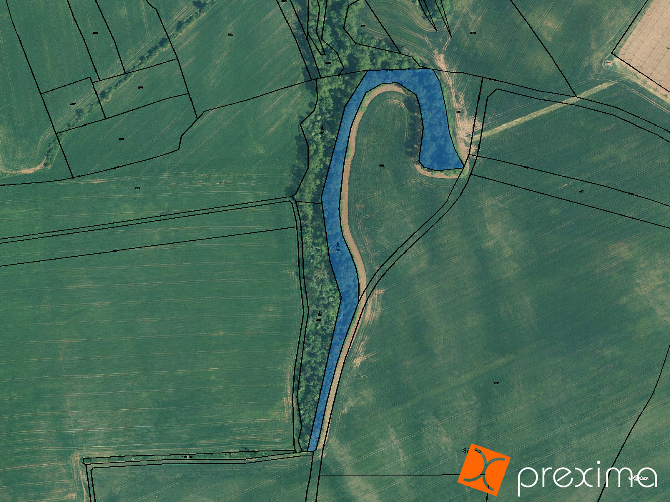 Prodej lesa 4 256 m²