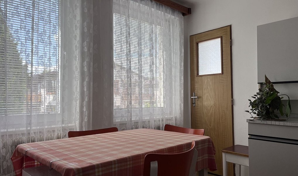 Prodej domu 350 m² s pozemkem 792 m², Veselí nad Lužnicí – náhled fotky 6