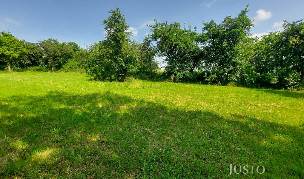 Prodej stavebního pozemku 2 918 m², Dražíč – náhled fotky 22