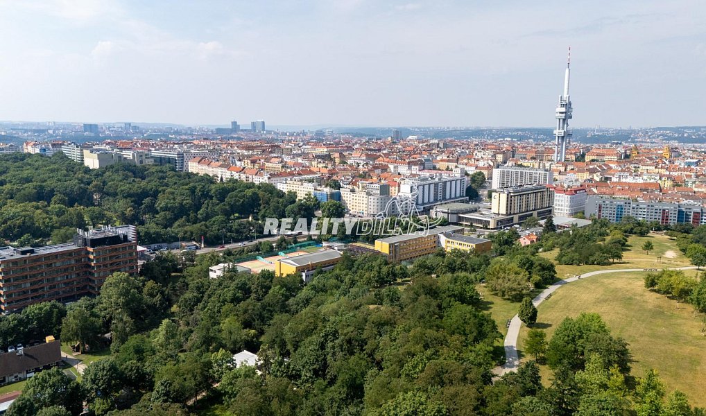 Prodej bytu 3+kk 99 m², Praha – náhled fotky 26