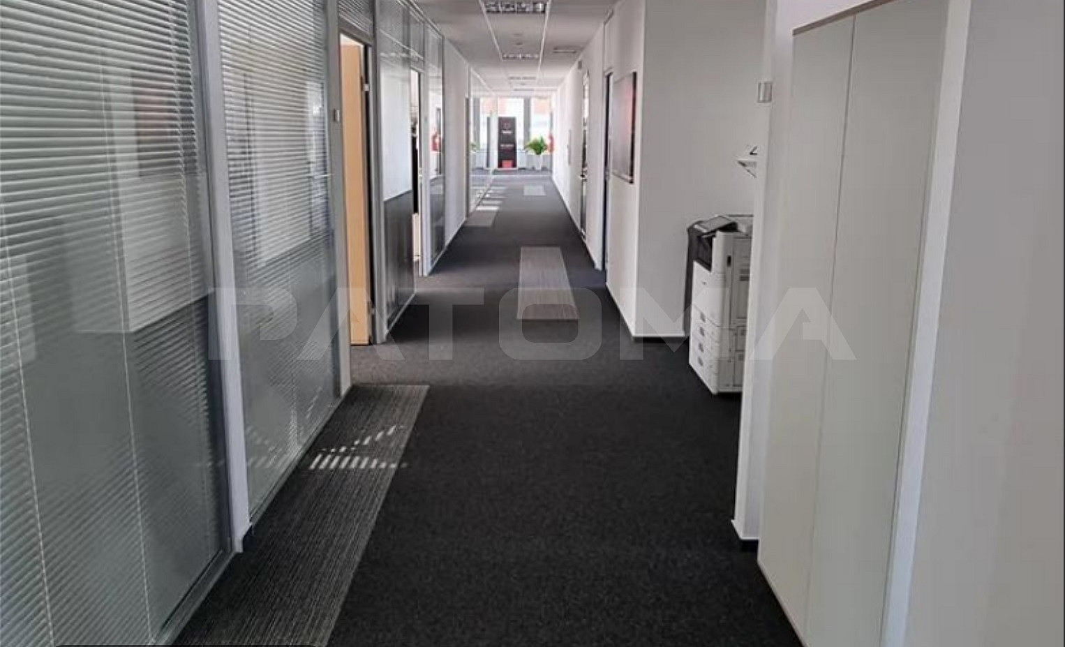 Fotka 5 z 12