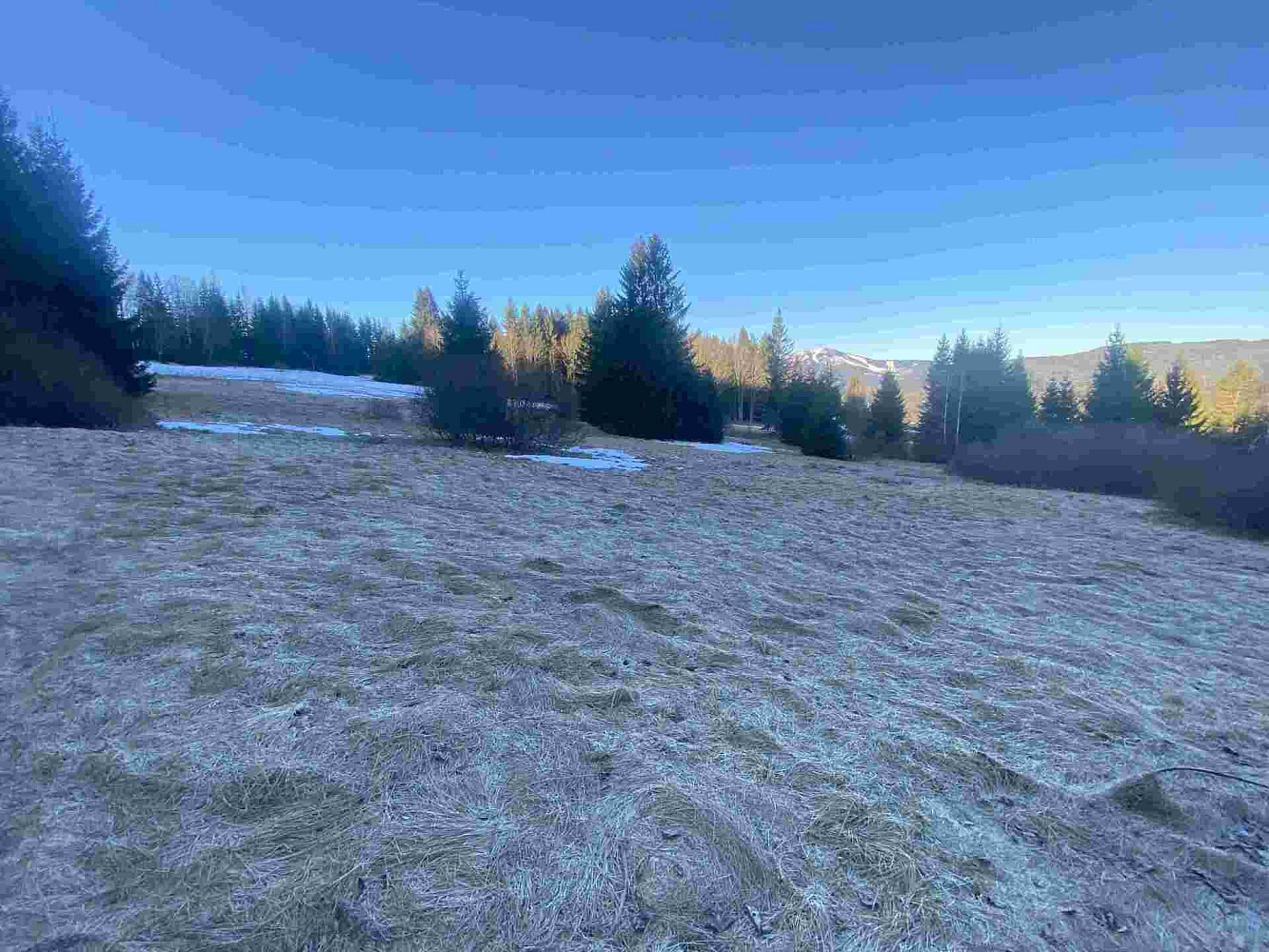 Prodej pole 2 377 m² – fotografie 4