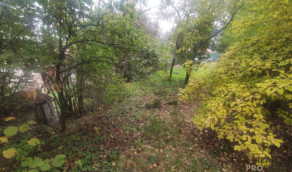 Prodej stavebního pozemku 751 m², Nové Sady – náhled fotky 7