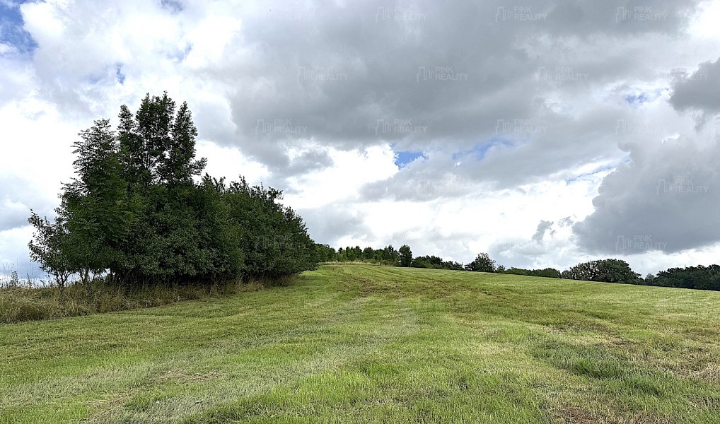 Prodej louky 16 663 m², Rychnov nad Kněžnou – náhled fotky 8