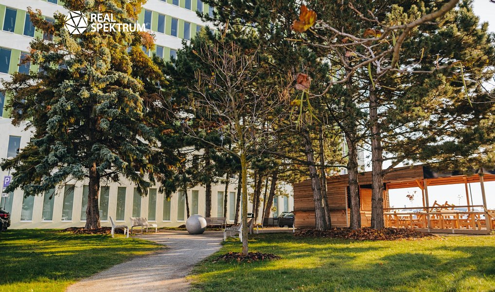 Pronájem kanceláře 374 m², Brno – náhled fotky 9