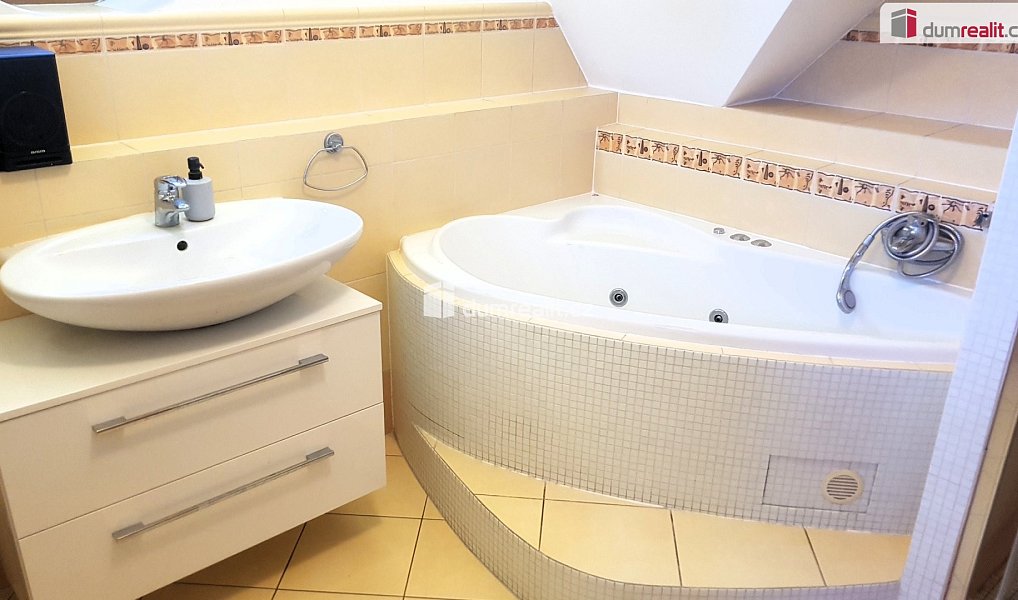 Prodej domu 303 m² s pozemkem 1 885 m², Hodonín – náhled fotky 50