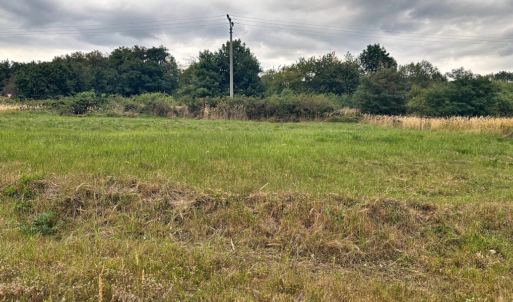 Prodej stavebního pozemku 1 333 m², Neveklov – náhled fotky 6
