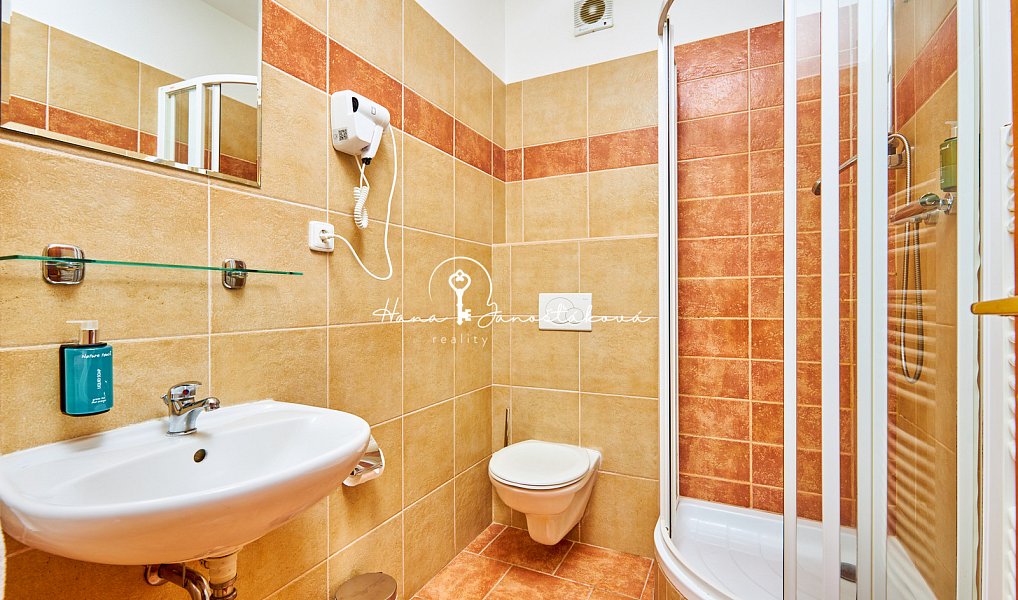 Prodej ubytovacího objektu 270 m², Český Krumlov – náhled fotky 16