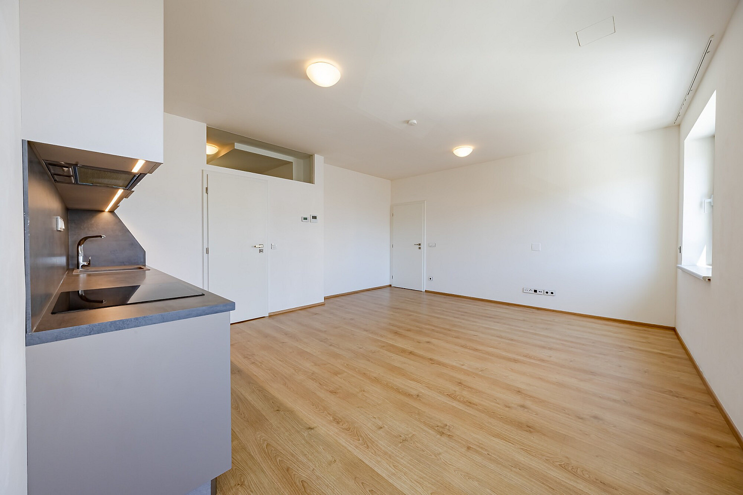 Pronájem bytu 3+kk 60 m² – fotografie 4