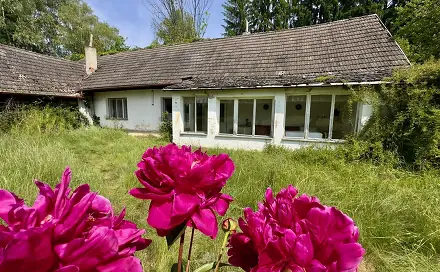 Prodej domu 100 m² s pozemkem 2 638 m², Nová Ves nad Lužnicí, okres Jindřichův Hradec