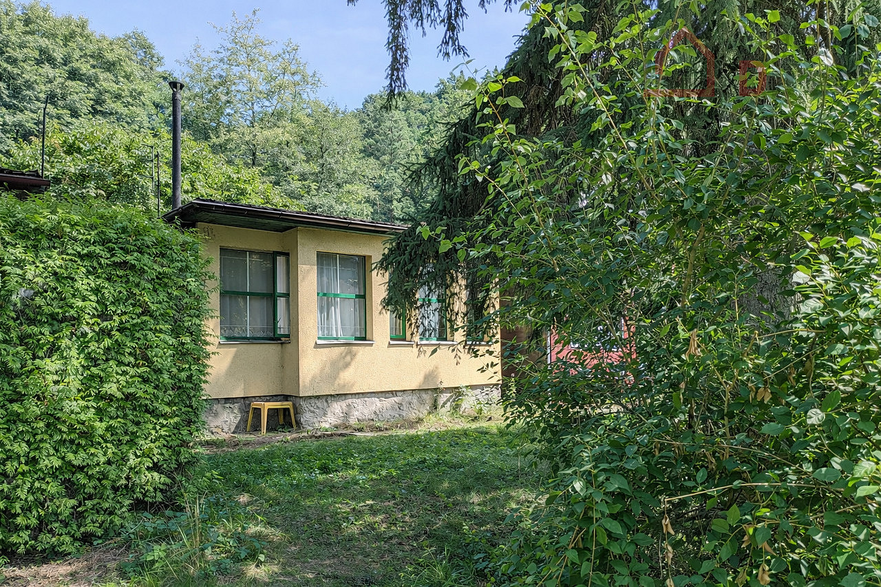 Fotka 9 z 14
