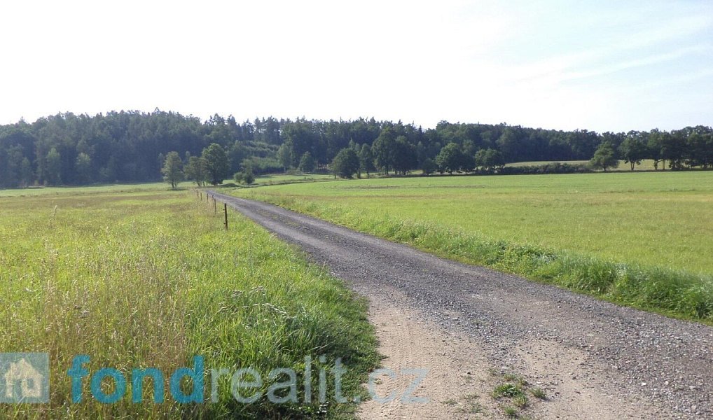 Prodej pozemku 3 240 m², Čejetice – náhled fotky 4