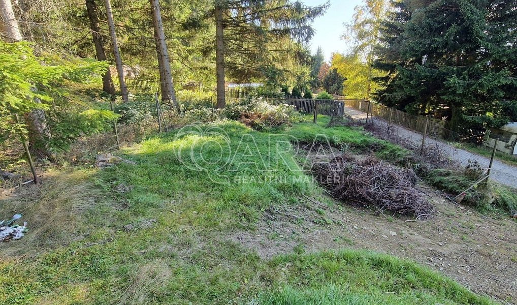 Prodej chaty/chalupy 10 m² s pozemkem 405 m², Lenora – náhled fotky 9