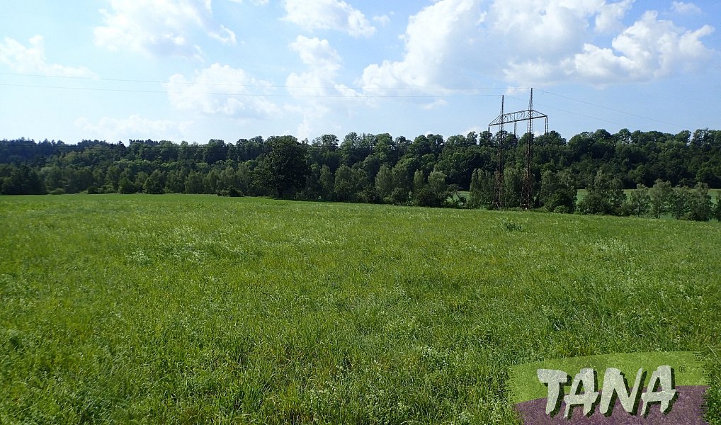 Prodej louky 49 051 m², Hodkovice nad Mohelkou – náhled fotky 3