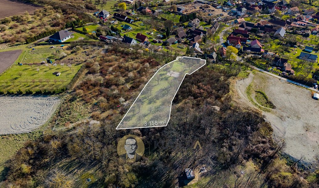 Prodej domu 100 m² s pozemkem 3 158 m², Střemy – náhled fotky 18