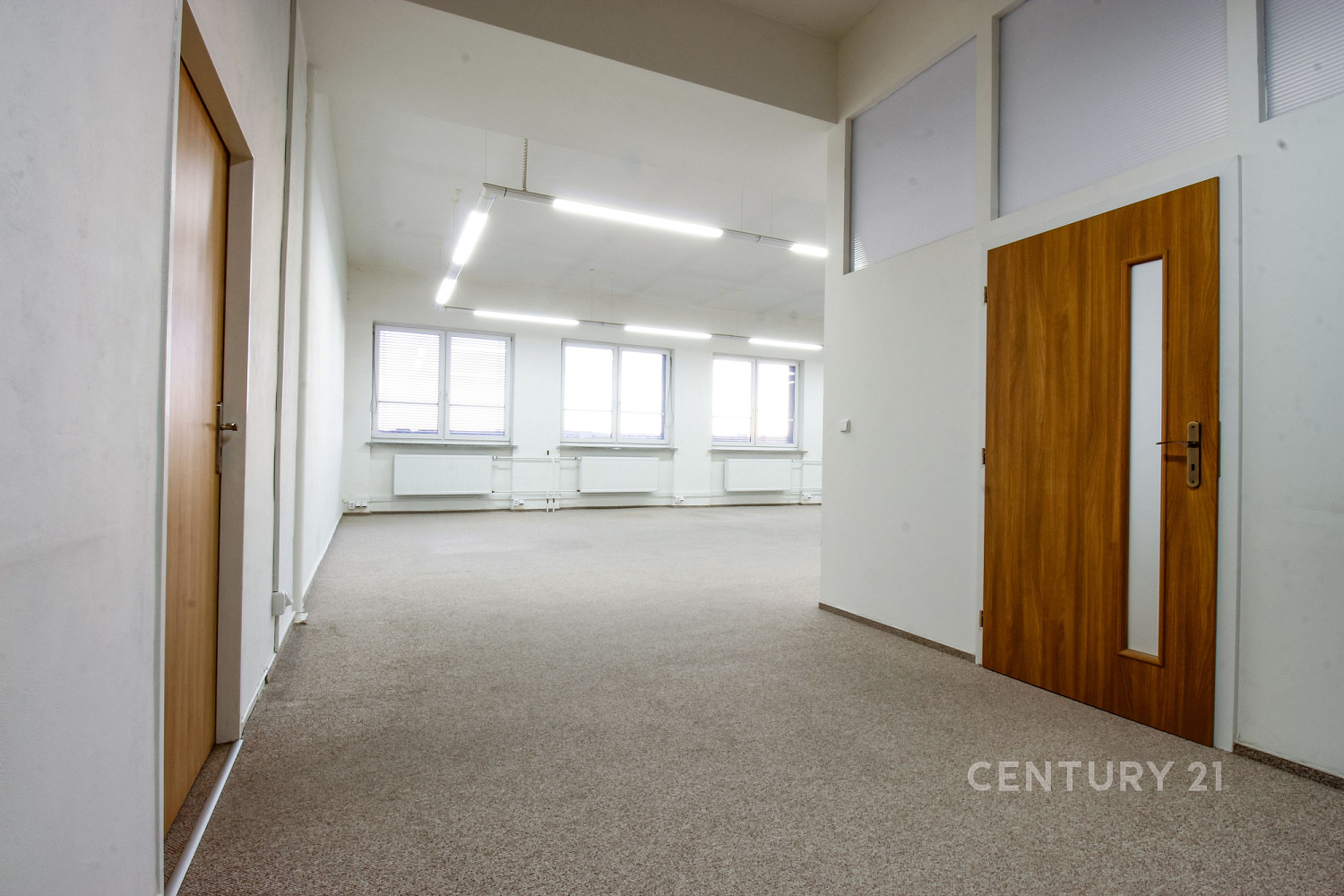 Pronájem kanceláře 262 m² – fotografie 2