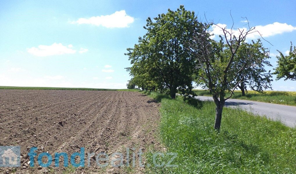 Prodej pole 1 053 m², Rybníček – náhled fotky 3