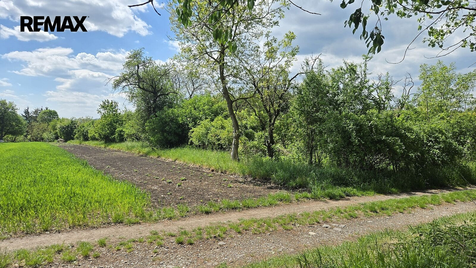 Fotka 10 z 19