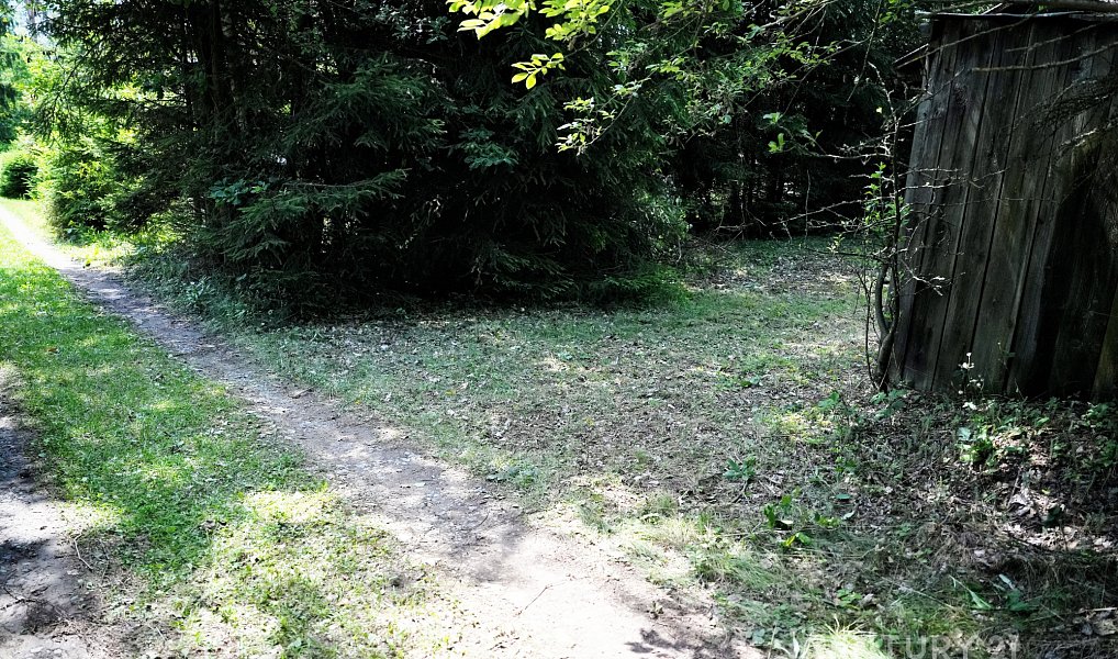 Prodej chaty/chalupy 22 m² s pozemkem 393 m², Dlouhá Ves – náhled fotky 10