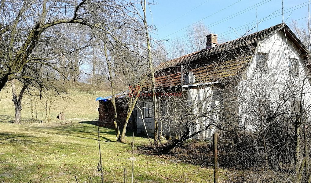 Prodej domu 200 m² s pozemkem 3 700 m², Kujavy – náhled fotky 4