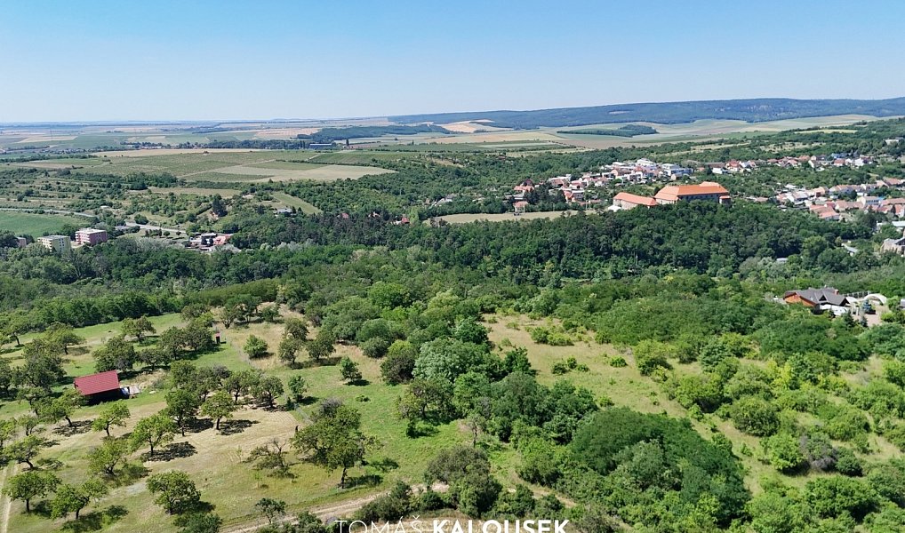 Prodej zahrady 4 478 m², Dolní Kounice – náhled fotky 8