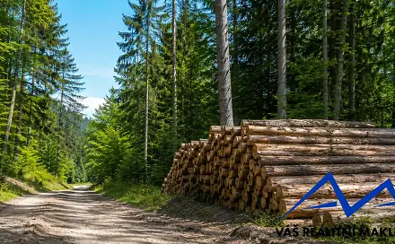 Prodej lesa 7 215 m², Zlatníky, Slovensko