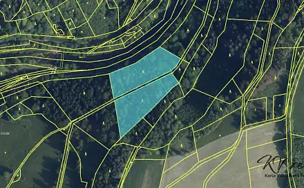 Prodej lesa 11 613 m², Poniklá, okres Semily