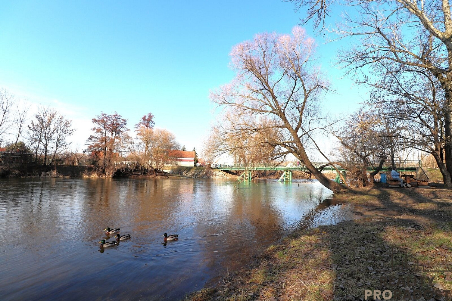 Prodej stavebního pozemku 1 283 m² – fotografie 5