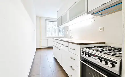Prodej bytu 2+1 54 m², Voříškova, Brno - Kohoutovice