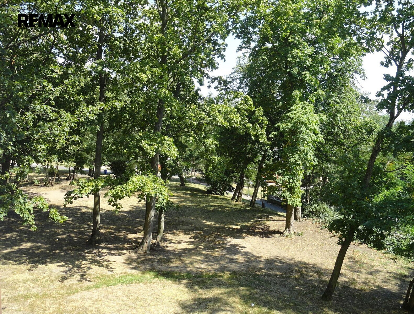 Fotka 15 z 17