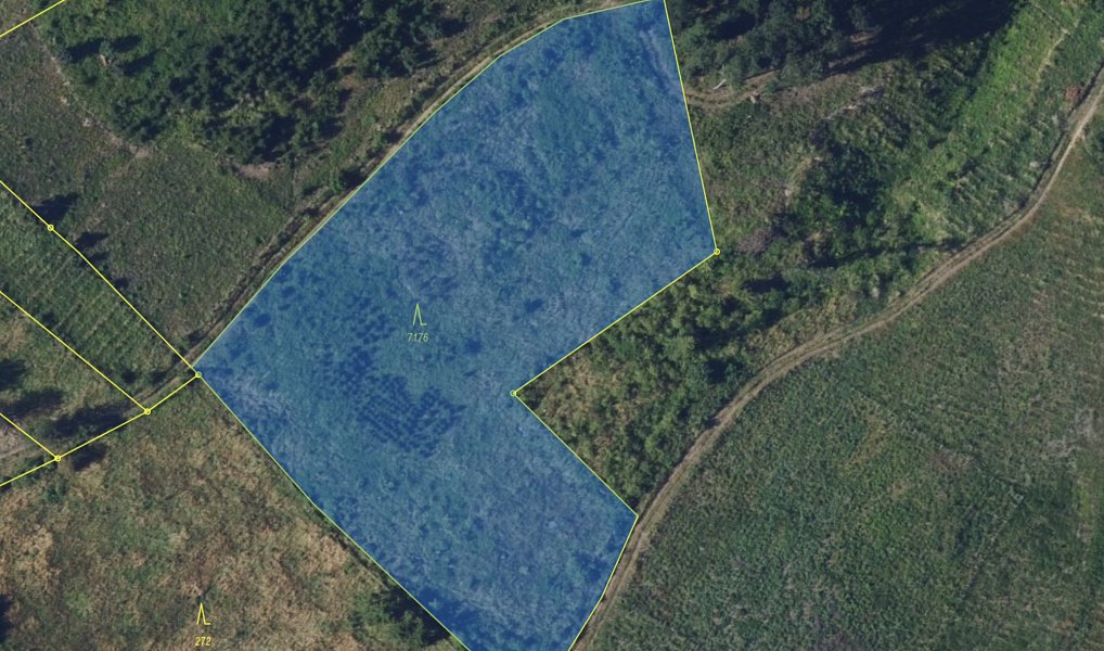 Prodej lesa, 7176 m², Blansko, Lysice