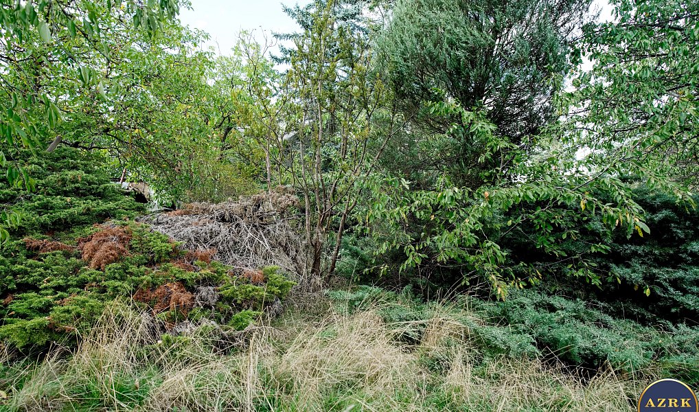 Pronájem zahrady 1 624 m², Plzeň – náhled fotky 15