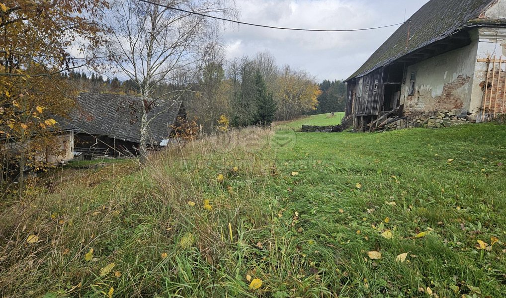 Prodej louky 1 636 m², Hanušovice – náhled fotky 3
