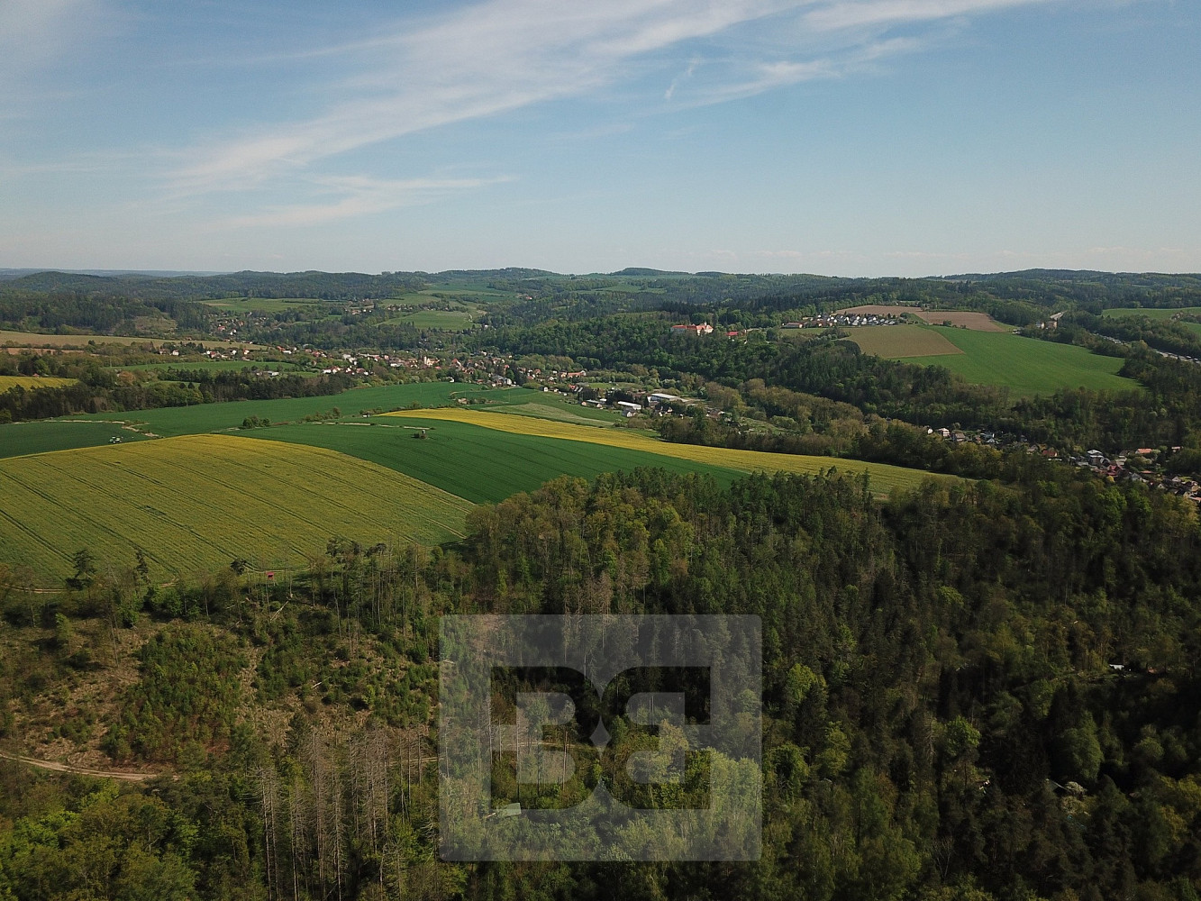 Prodej lesa 4 369 m² – fotografie 3