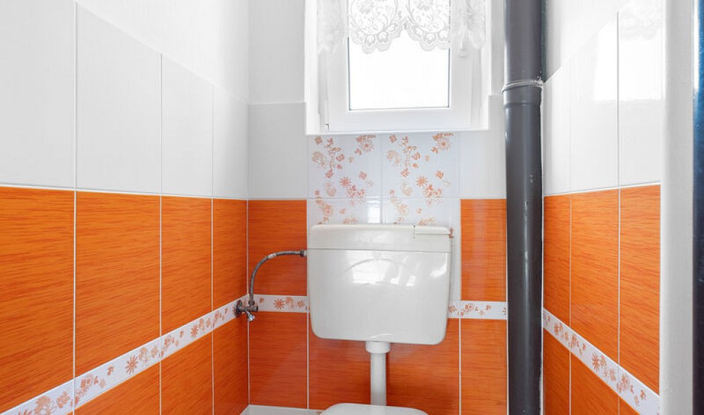 Prodej zemědělského objektu 260 m², Drahonín – náhled fotky 20