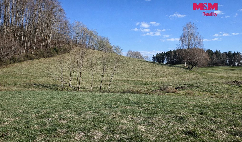 Prodej louky 2 749 m², Janův Důl – náhled fotky 2