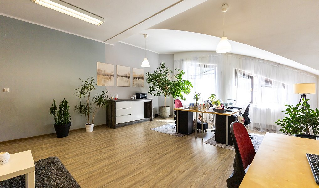 Pronájem kanceláře 41 m², Uherské Hradiště – náhled fotky 4