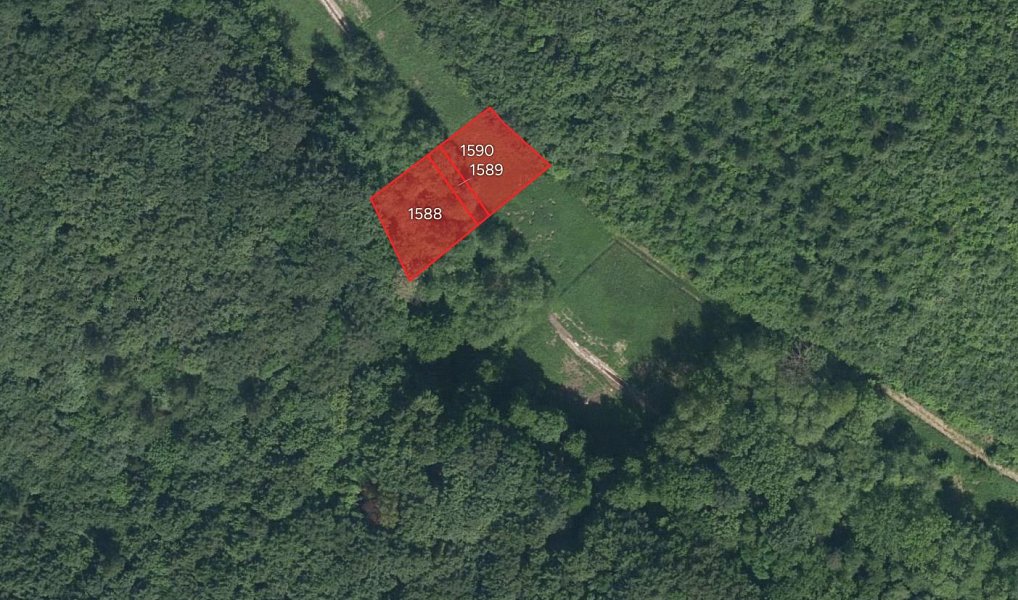 Prodej pole 19 471 m², Lovčice – náhled fotky 4