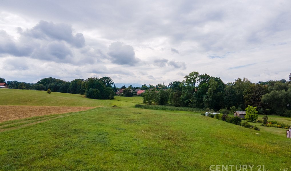 Prodej stavebního pozemku 1 811 m², Sedliště – náhled fotky 13