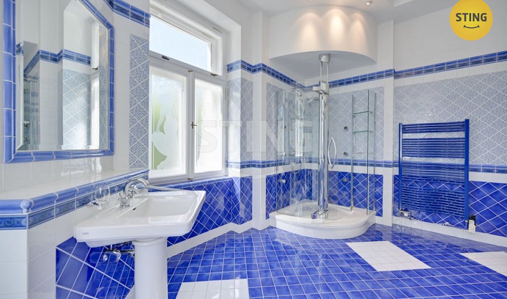 Prodej domu 700 m² s pozemkem 3 228 m², Luže – náhled fotky 24
