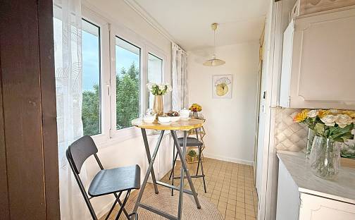 Prodej bytu 3+1 69 m², Na Dlouhých, Plzeň - Doubravka