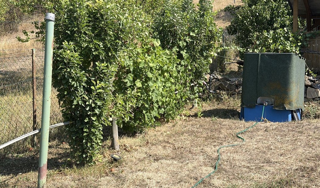 Prodej chaty/chalupy 16 m² s pozemkem 1 424 m², Nížkovice – náhled fotky 5