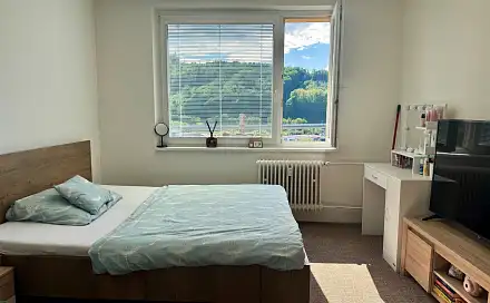 Pronájem bytu 1+1 33 m², Vsetín