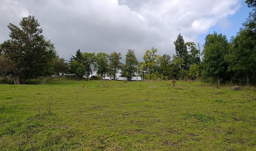 Prodej stavebního pozemku 3 539 m², Lovečkovice – náhled fotky 14