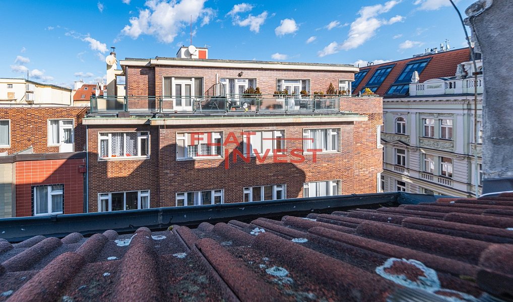 Prodej bytu 6+kk 294 m², Praha – náhled fotky 8