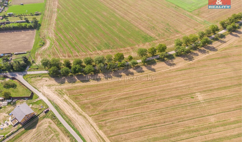 Prodej stavebního pozemku 1 964 m², Brumovice – náhled fotky 6