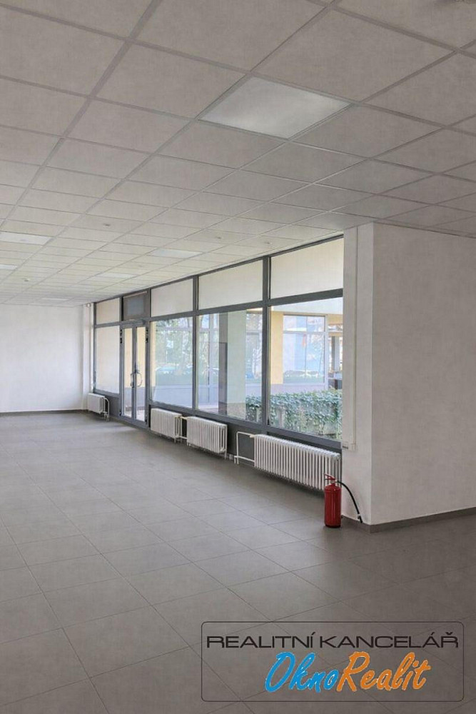 Pronájem obchodních prostor 255 m² – fotografie 5