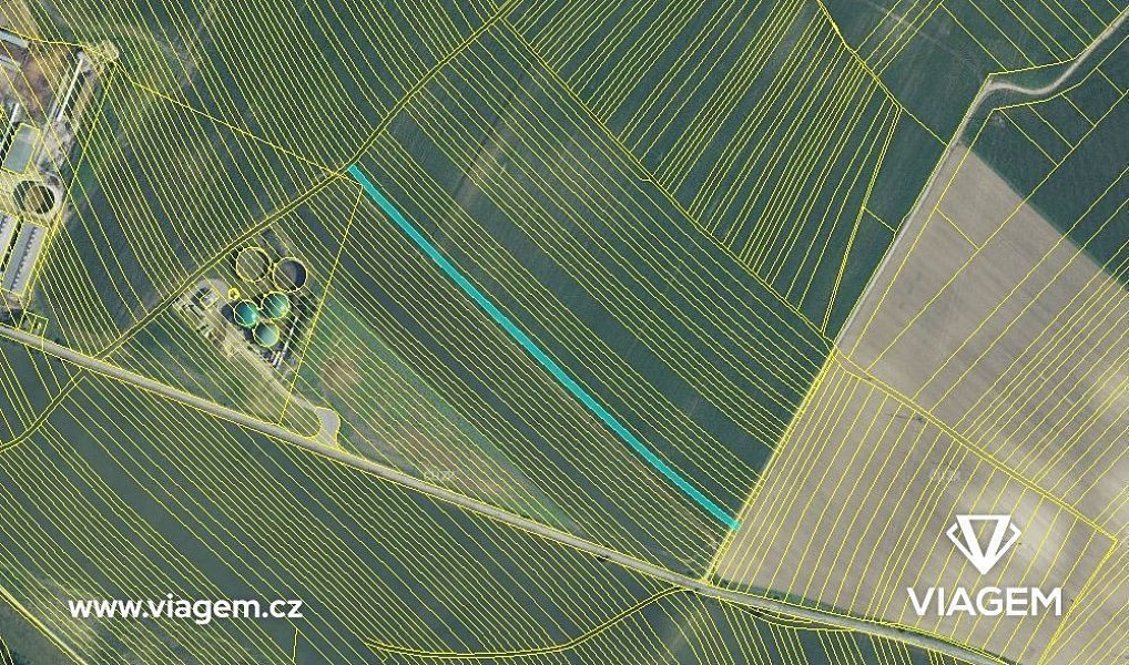 Prodej pole 1 045 m², Uherčice – náhled fotky 6